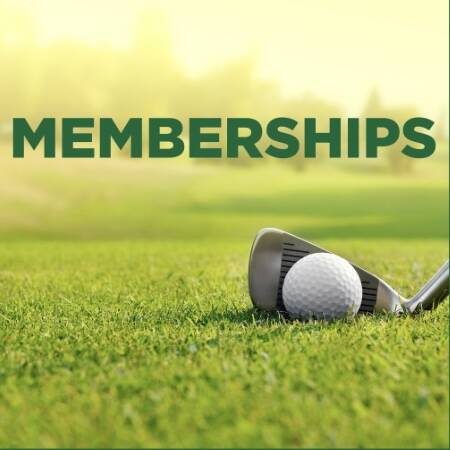 AllSports indoor golf membership image